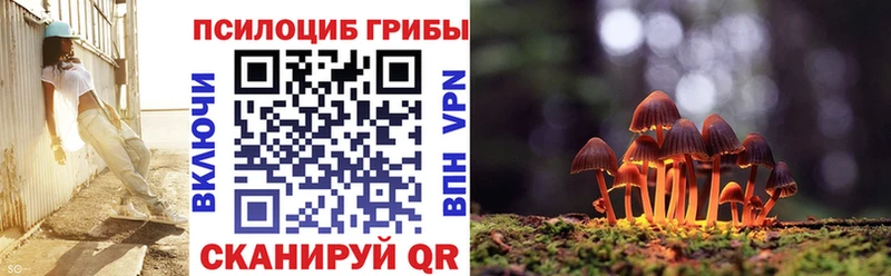 Псилоцибиновые грибы Magic Shrooms  Тарко-Сале 